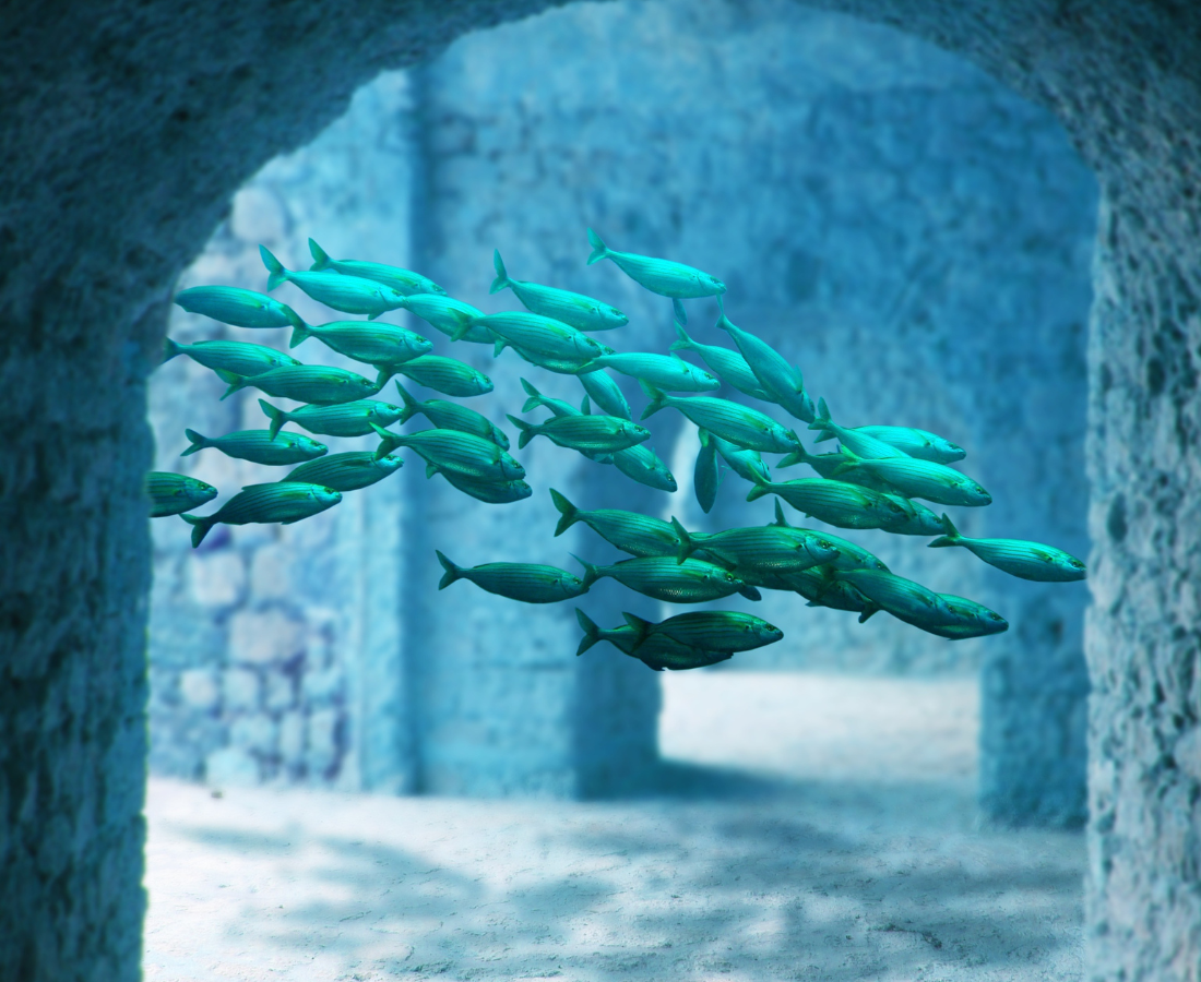 Best Tips for Visiting the Georgia Aquarium