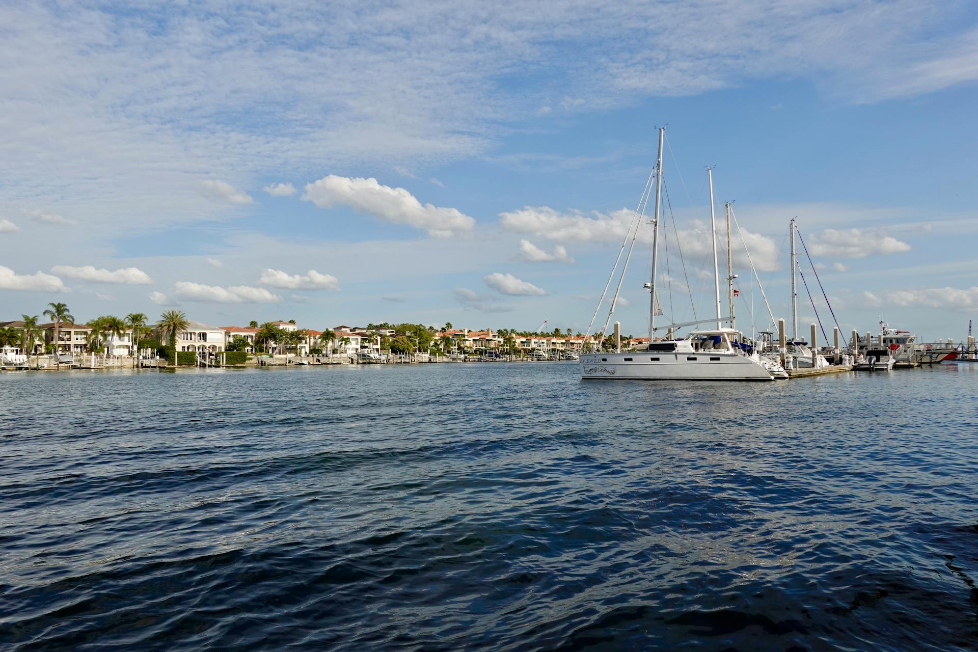 Best Things to Do in Tampa Bay, Florida